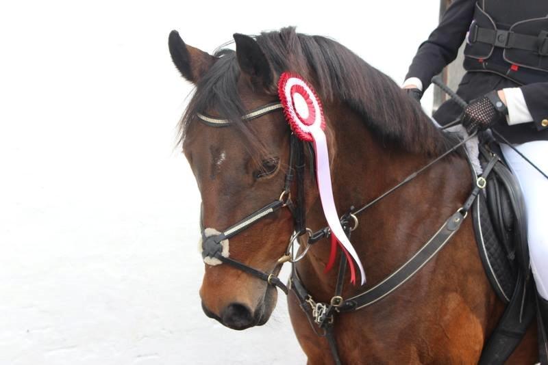 Anden særlig race Dücell - En fin førsteplads da vi startede stævne på bakkegården <3 :D billede 1