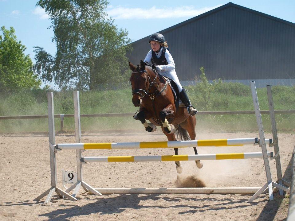 Anden særlig race Dücell - Til stævne på Bakkegården (den gård hun står opstallet på) <3 billede 7
