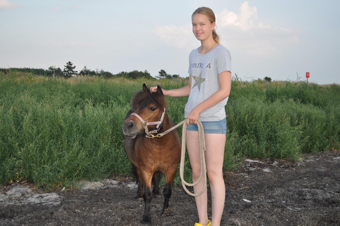Shetlænder Felina Singerholm - Felina og jeg på vores første strand tur sammen. Hun elskede det! billede 3