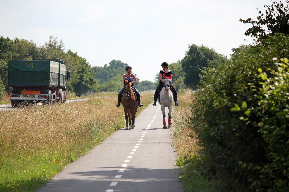 Holstener Fruerholm's Adonis *For Evigt Elsket <3* - På tur sammen med Athene og Camilla :) billede 28