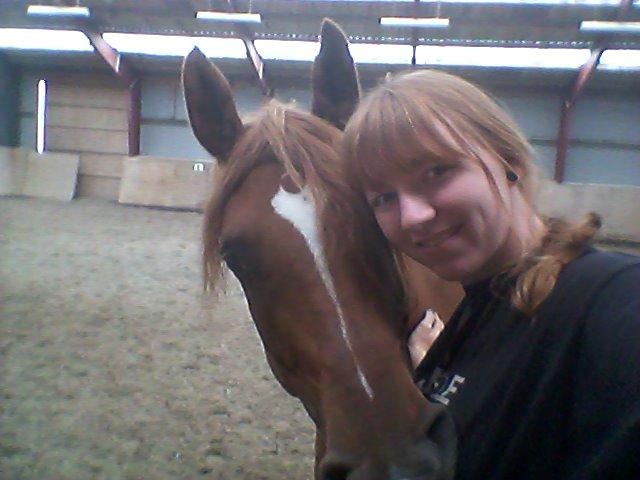 Arabisk fuldblod (OX) Milagro - Efter første galop m. rytter :) (juni '14) billede 29