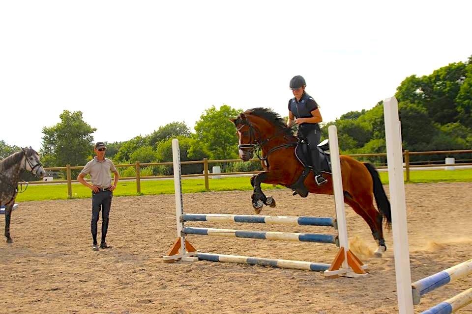 New Forest Fuglekildes Macoy billede 7