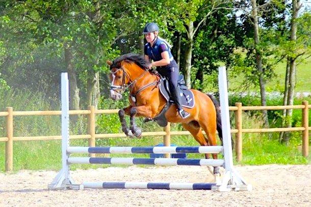 New Forest Fuglekildes Macoy billede 14