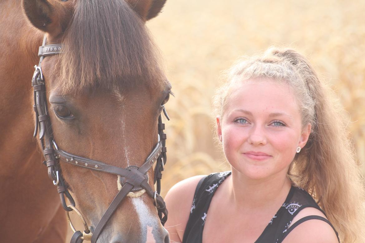 New Forest Stella Nova billede 19