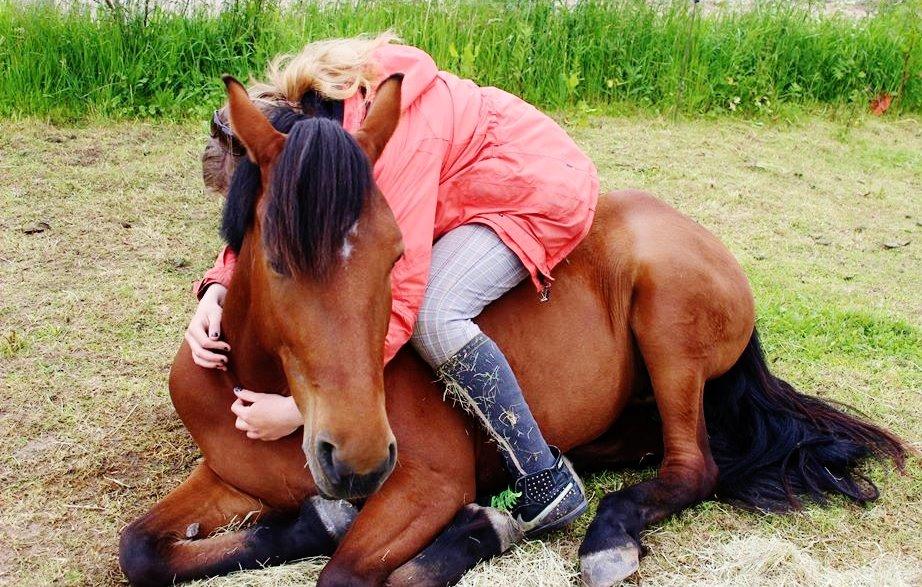 Anden særlig race Kit Kat (Stjerneponyen<3) billede 28