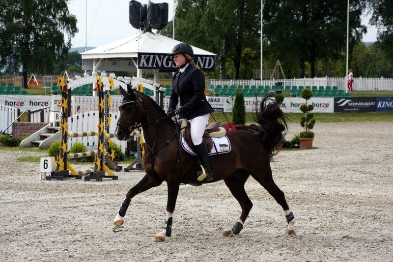 Hollandsk Sportspony | Radec<3 | (Toblerone) billede 18