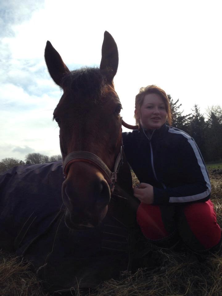 Dansk Varmblod Chilli Nørrekær billede 12