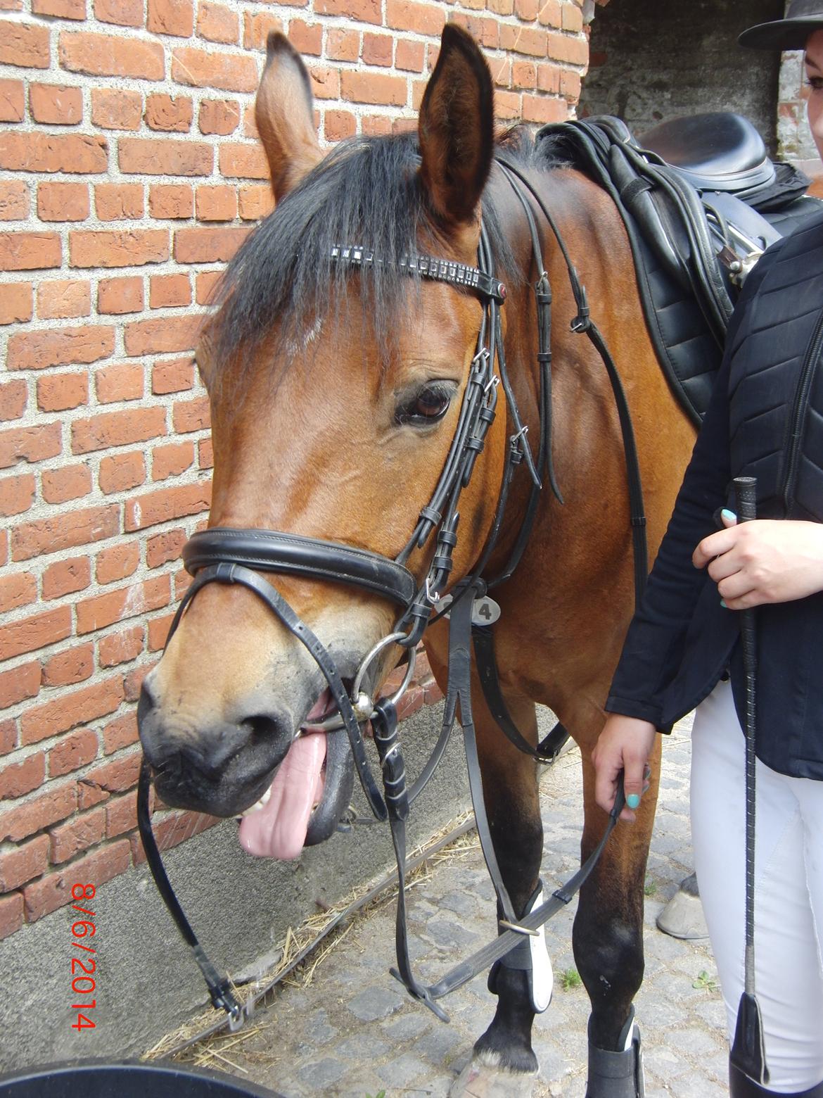 DSP Thorups's De-Venti billede 19