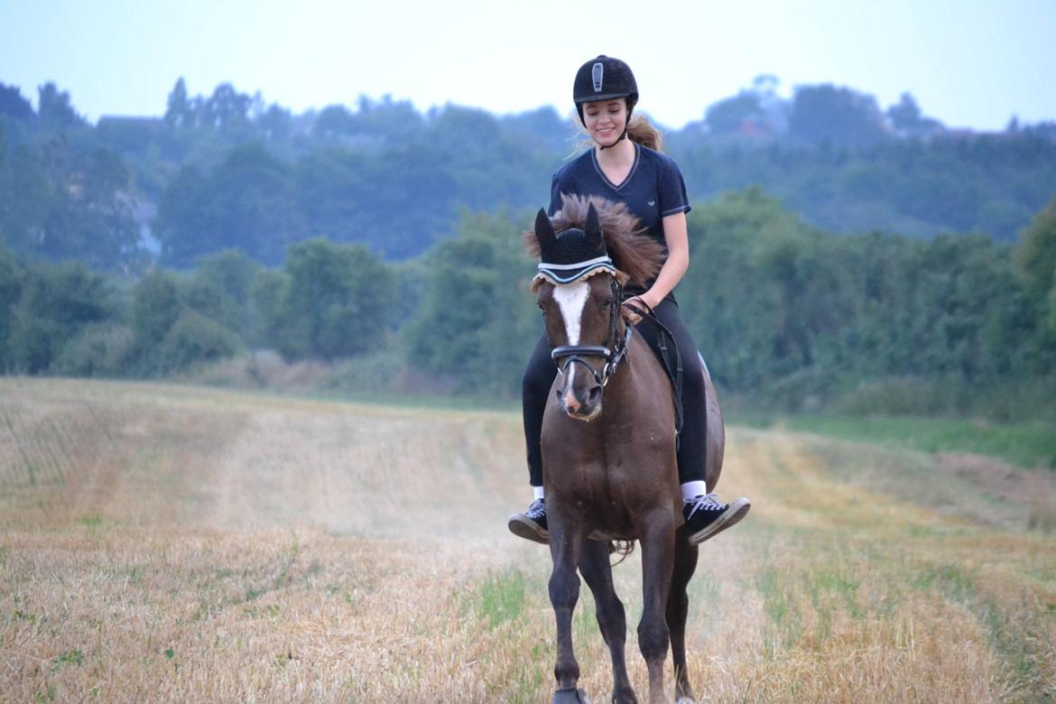 Welsh Partbred (Sec F) Mølgaards Comtessa - Fun with my little <3  billede 15