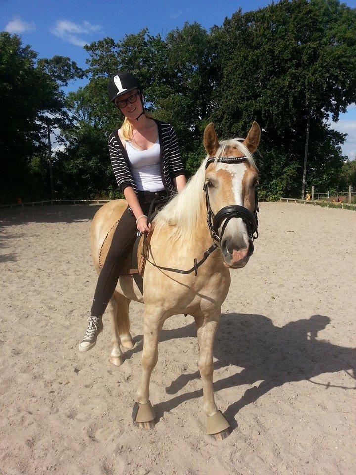 Haflinger Adobe - <3 billede 10