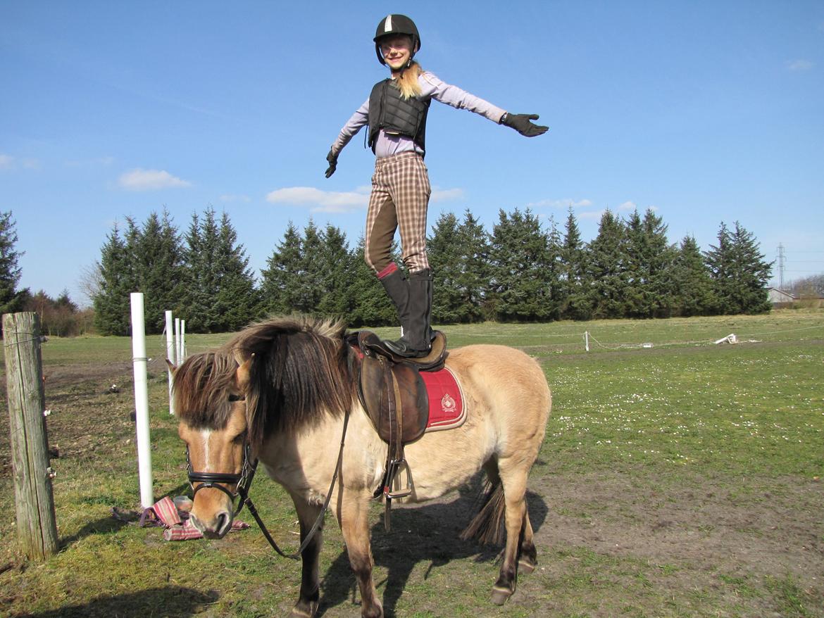 Anden særlig race Freja (mit et og alt)<3 billede 3