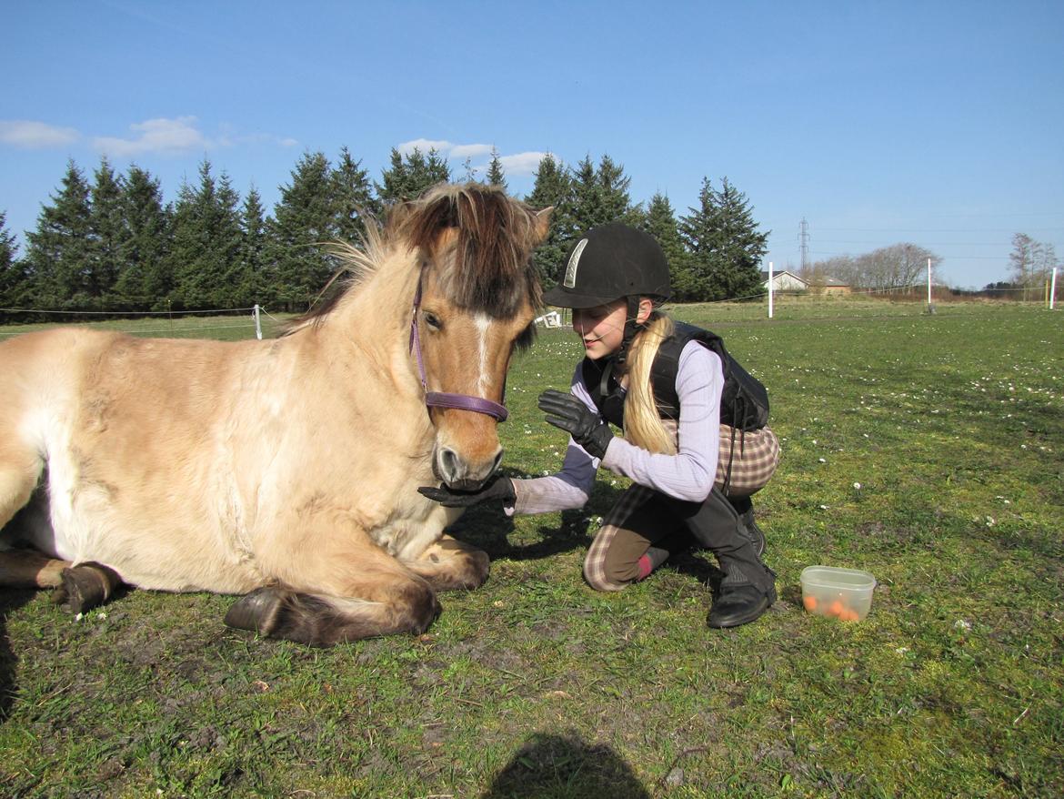 Anden særlig race Freja (mit et og alt)<3 - hov der var en godbid:-D billede 17