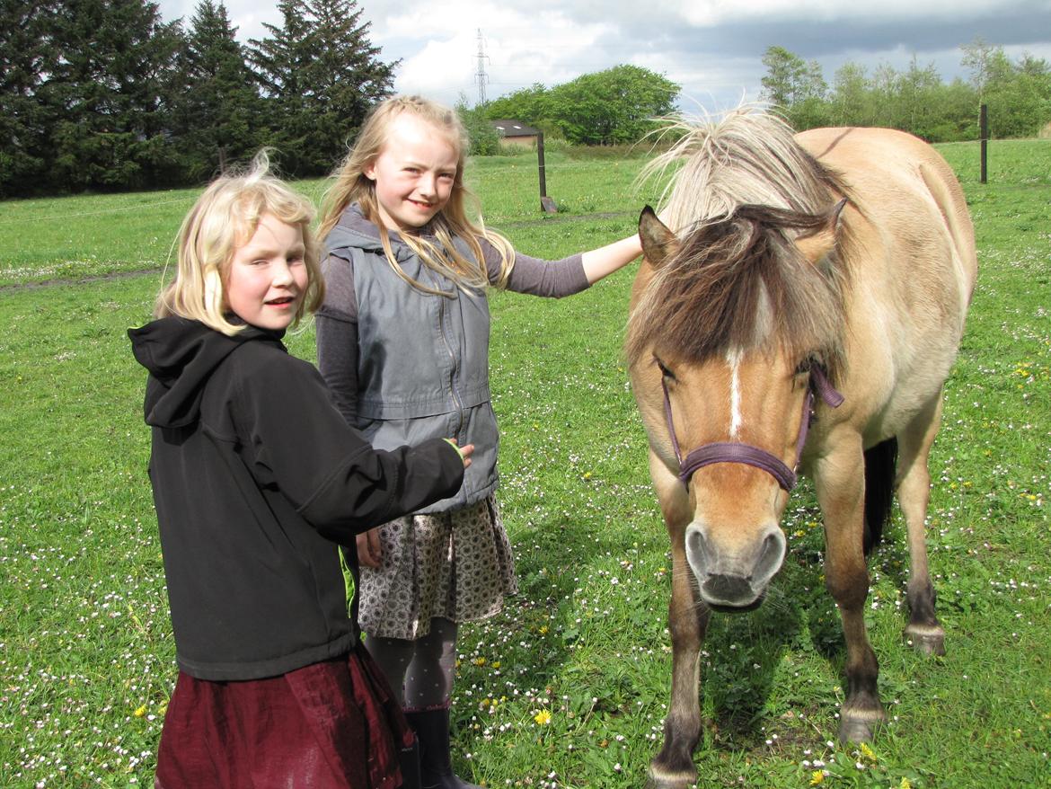 Anden særlig race Freja (mit et og alt)<3 - til min storebrors konfirmatioin. Mine to kusiner står og snakker med freja:-) billede 19
