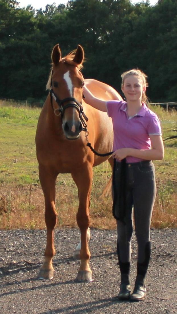 Tysk Oldenburger Bladsgaards Windy Sky billede 18