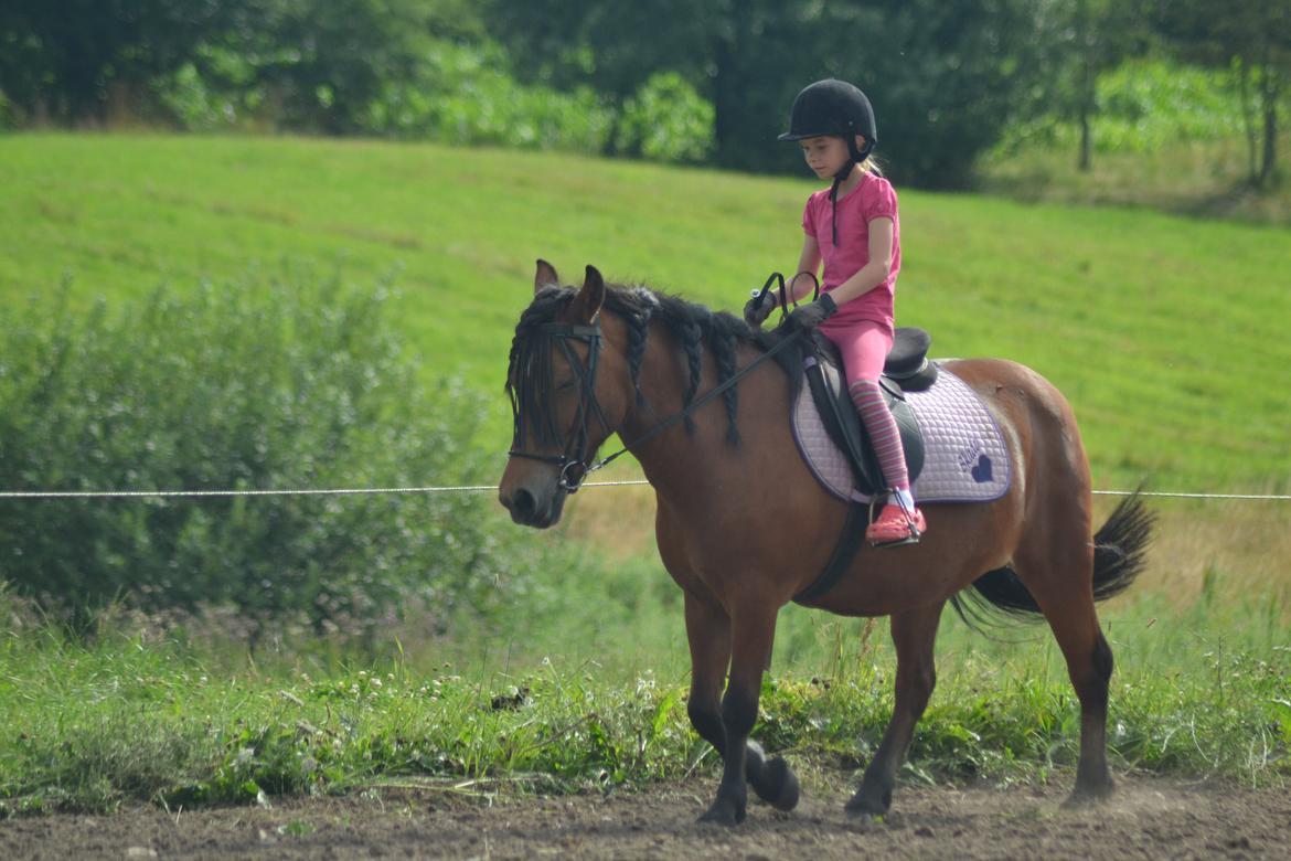 Anden særlig race Skade - Freja rider Skade <3 billede 14