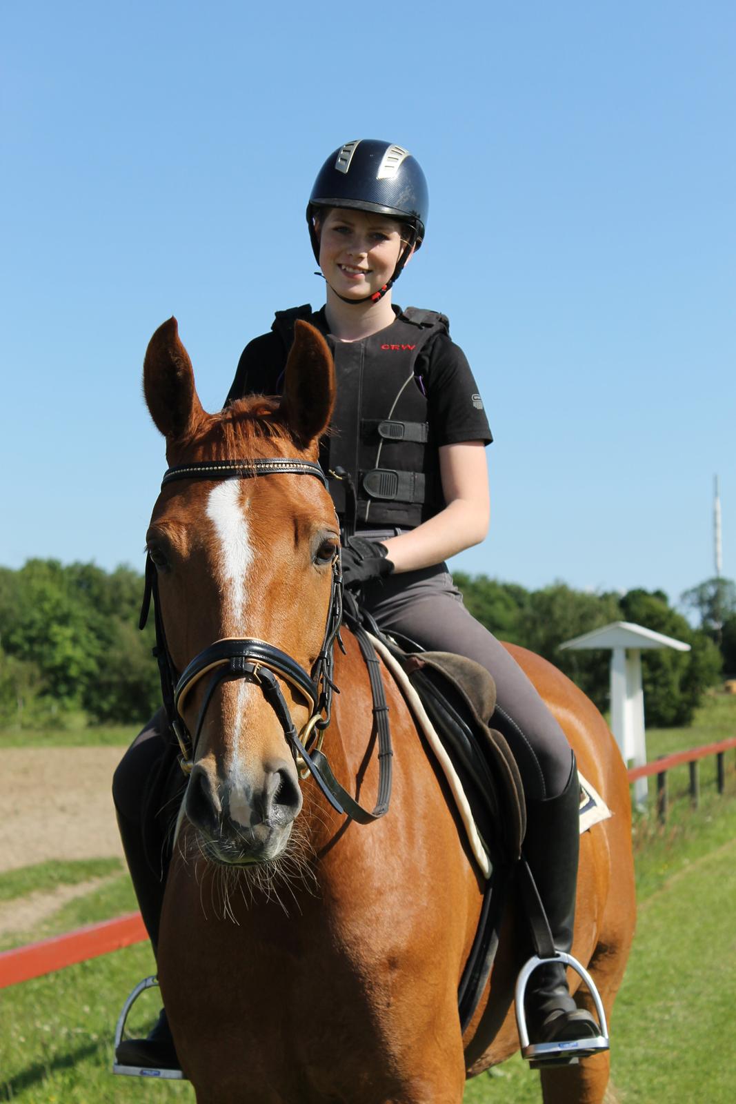 Tysk Oldenburger Bladsgaards Windy Sky - Første gang jeg prøvede dejlige Windy <3 billede 15