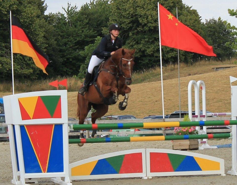 Dansk Varmblod Lucky-Lee <3 <3 billede 21