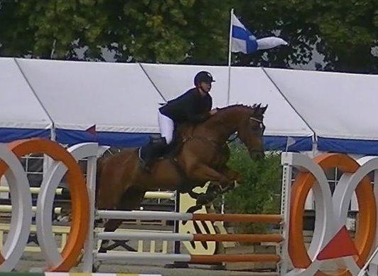 Dansk Varmblod Lucky-Lee <3 <3 billede 24