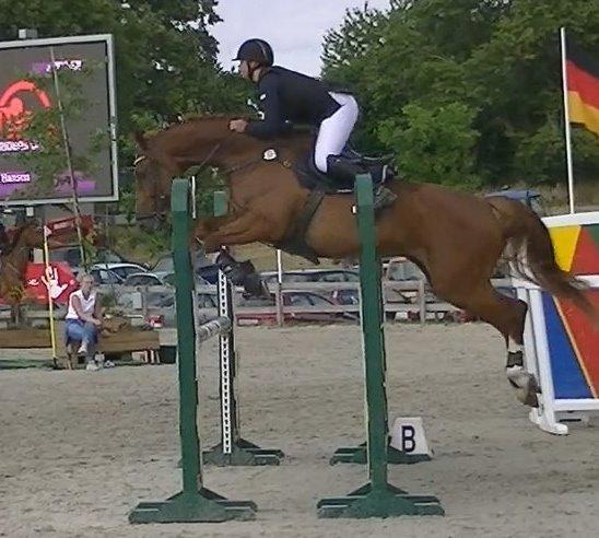 Dansk Varmblod Lucky-Lee <3 <3 billede 27