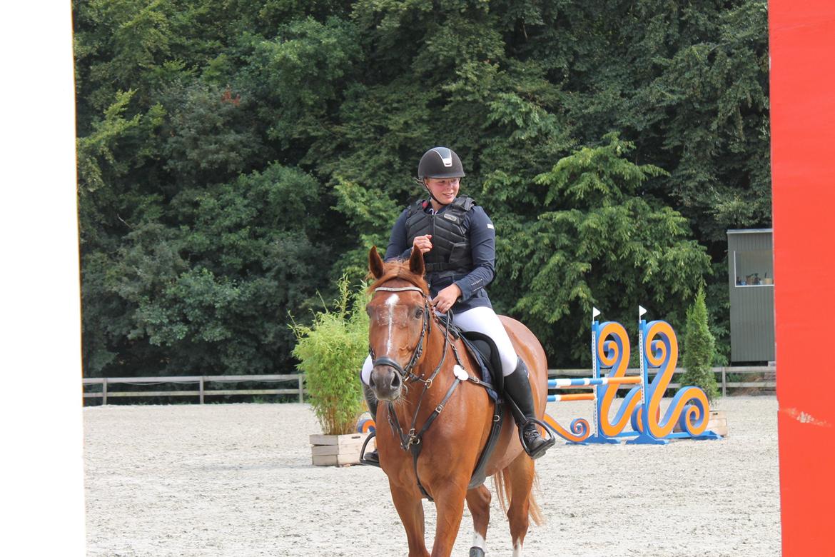 Dansk Varmblod Lucky-Lee <3 <3 billede 30