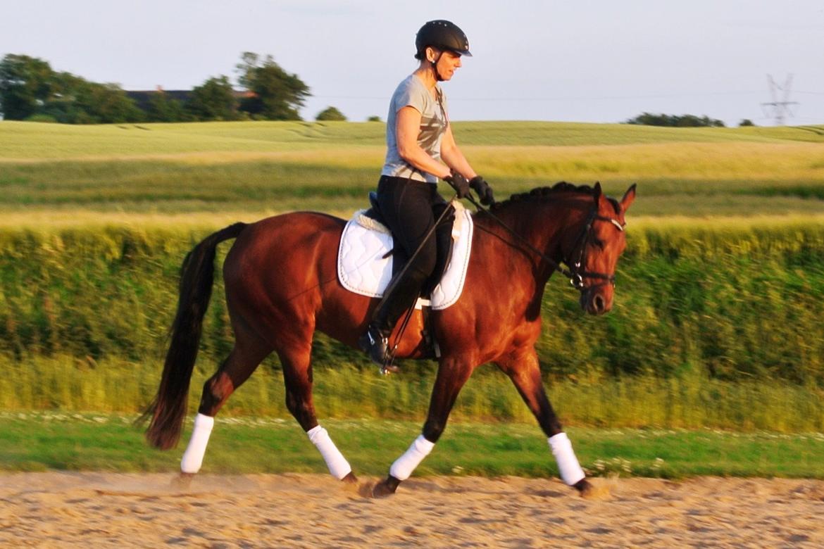 DSP BIRKELUND'S FLAMME billede 4