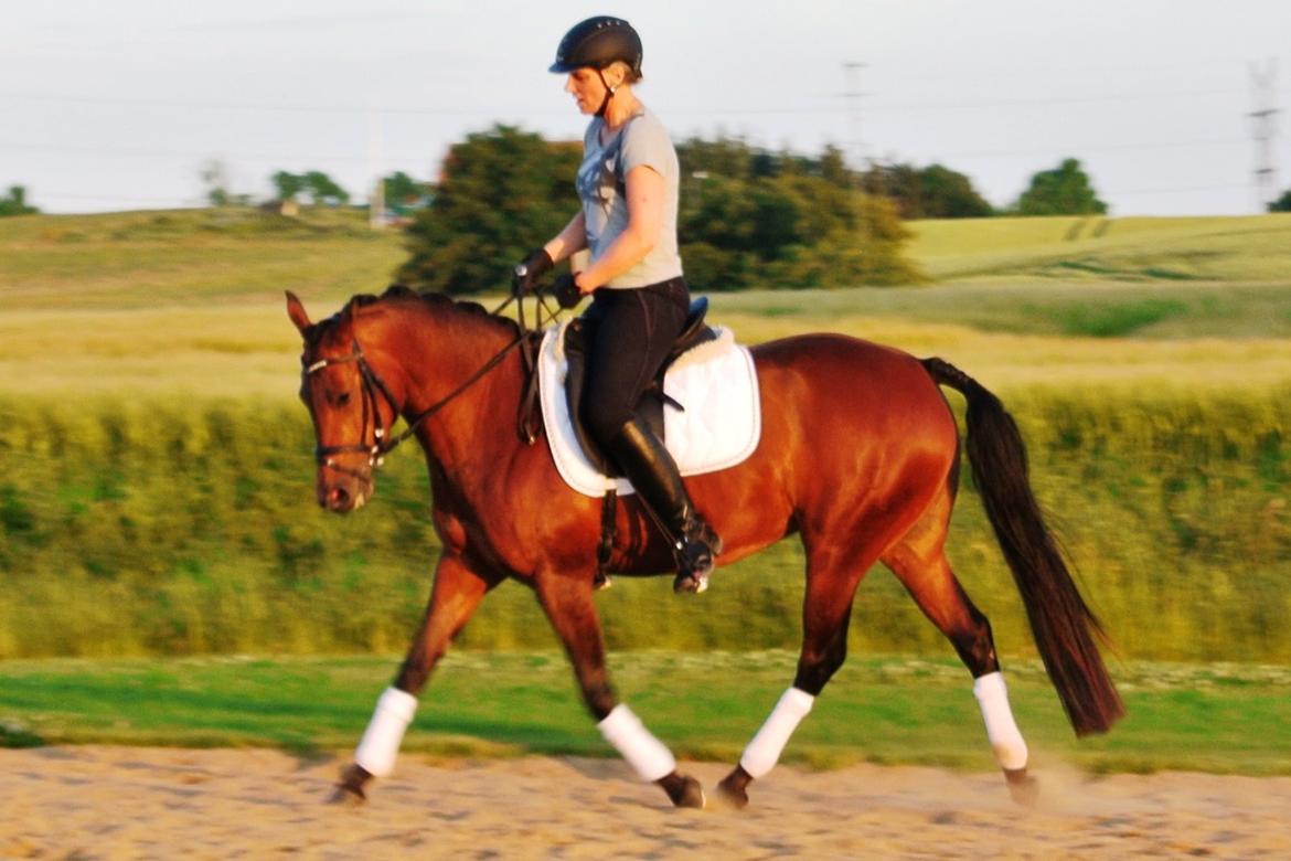 DSP BIRKELUND'S FLAMME billede 5