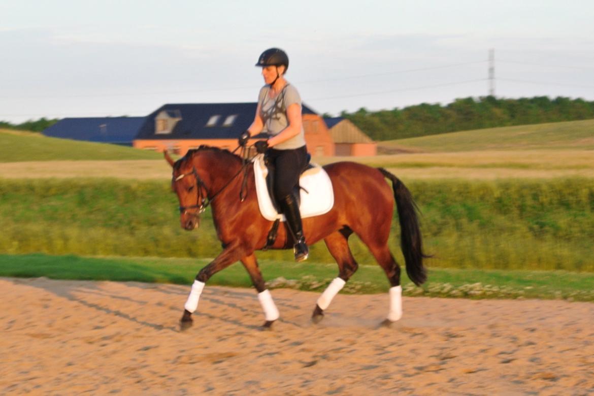 DSP BIRKELUND'S FLAMME billede 6