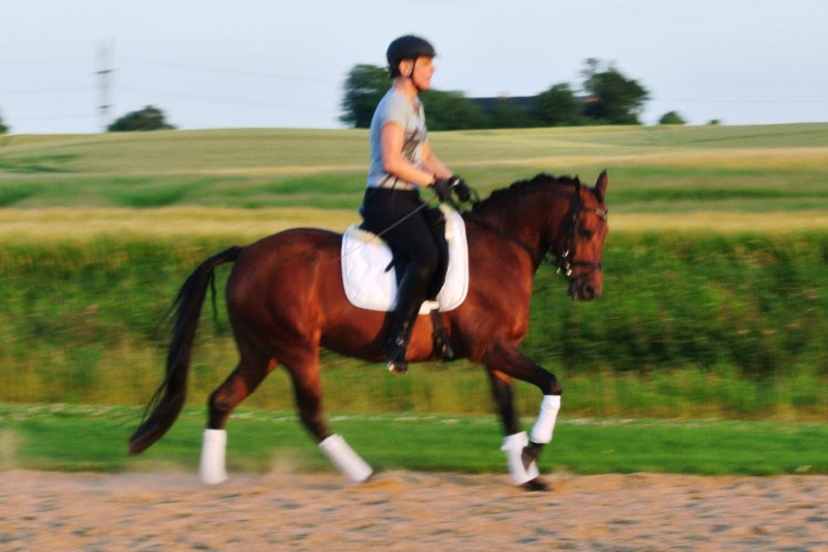 DSP BIRKELUND'S FLAMME billede 7