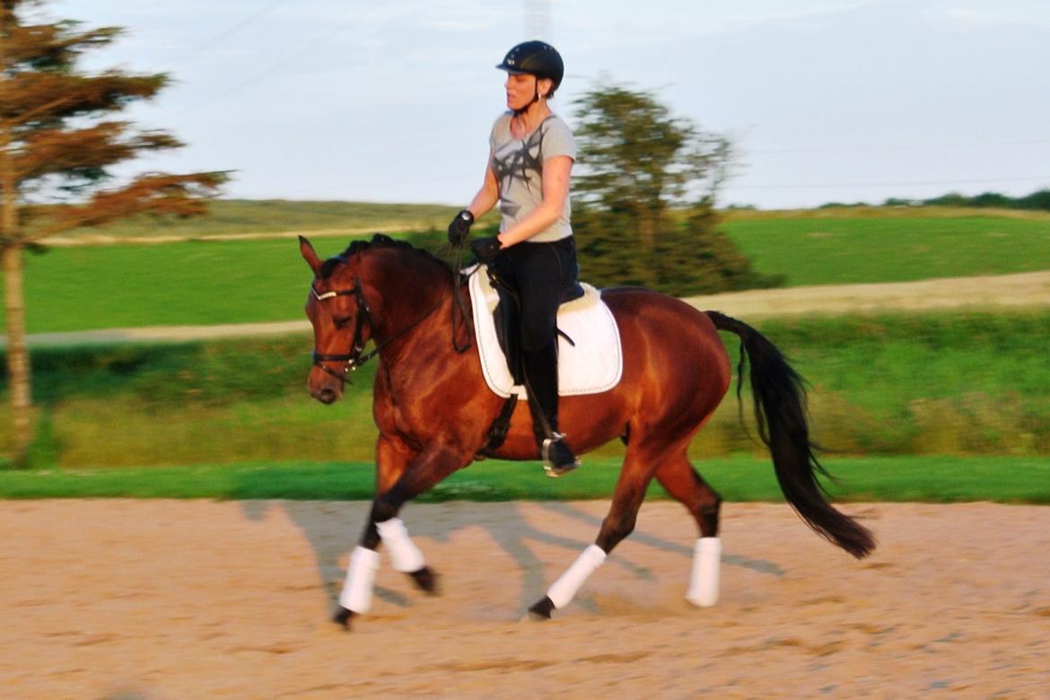 DSP BIRKELUND'S FLAMME billede 8