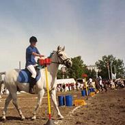 Anden særlig race Cisco