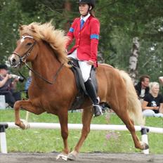 Islænder Abel fra Frederikshvile