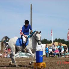 Anden særlig race Cisco