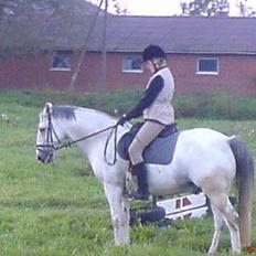 Anden særlig race Cisco