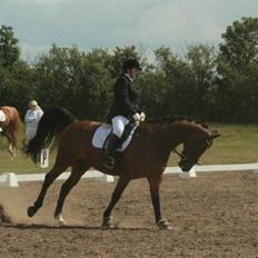 Oldenborg Dufaux - Tidl hest