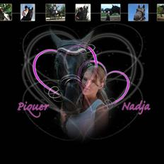 Oldenborg Dyssevej´s Piquer