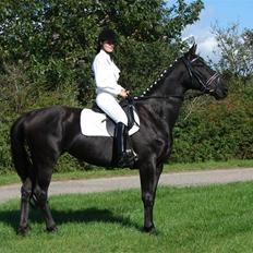 Oldenborg Dyssevej´s Piquer