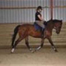 Anden særlig race Serrano