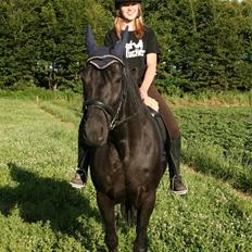 Anden særlig race Charly *solgt*