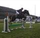 Hollandsk Sportspony Hotse 