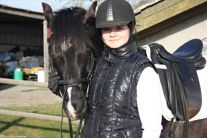 Anden særlig race Arkiball B-pony! solgt.  - Velkommen til Arkiballs profil!  billede 1