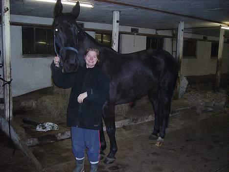 Anden særlig race Majsens Tequila. R.I.P. billede 5