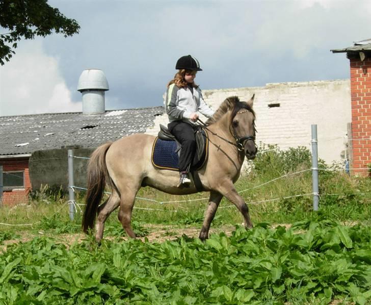 Anden særlig race Bailey - kidnappet  ;D - Mig og Amalie. billede 2