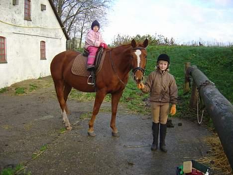 Dansk Varmblod Isabell - Cecilie trækker sin lillesøster Amalie ned fra ridebanen efter dagens ridetur. billede 2