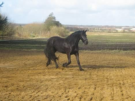 Frieser Nancy død d.19-02-2009 - 16-03-2007 billede 20