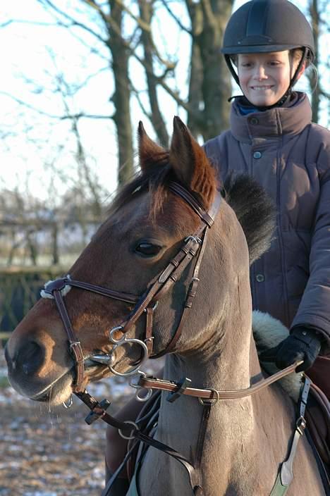 Anden særlig race Toeren (DØD) billede 6