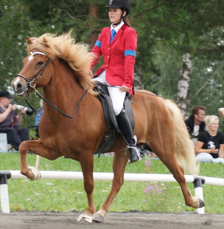 Islænder Abel fra Frederikshvile - Nordisk Mesterkskab 2010 i Finland. 6.73 i snit. (Foto: Sebastian Aagaard) billede 1