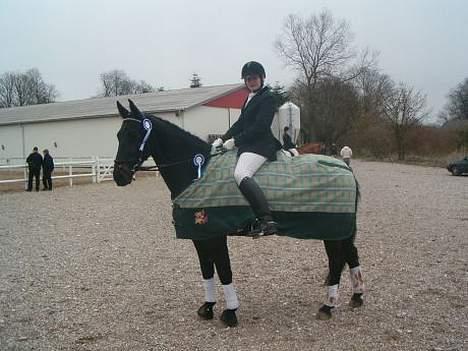 Oldenborg E-line Af Hvarre *R.I.P* - første stævne billede 5