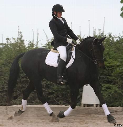 Oldenborg E-line Af Hvarre *R.I.P* - stævne SOLR billede 6