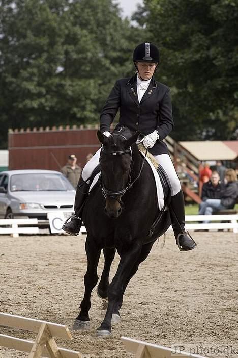 Oldenborg E-line Af Hvarre *R.I.P* - St. hestdag billede 12