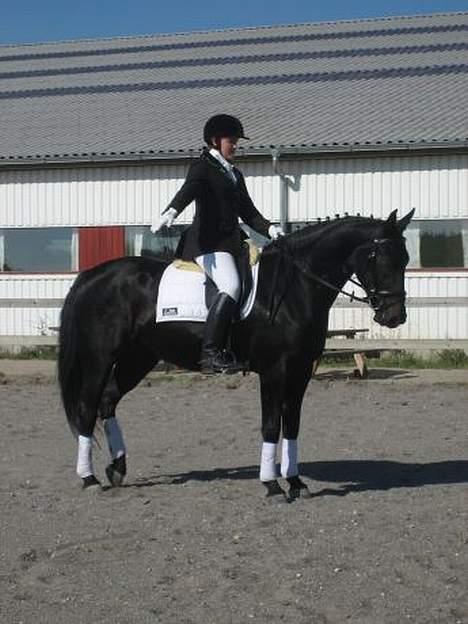 Oldenborg E-line Af Hvarre *R.I.P* - Klubmesterskab billede 15